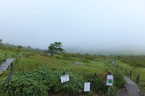 霧ヶ峰（車山）