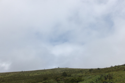 霧ヶ峰（車山）