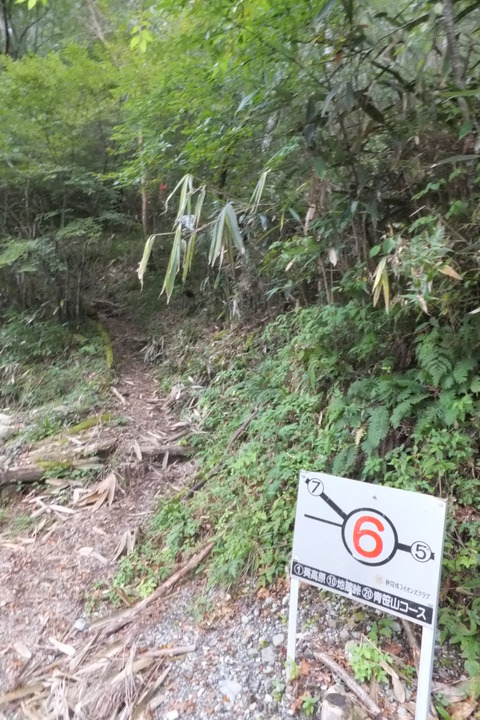 地蔵峠～下十枚山～十枚山