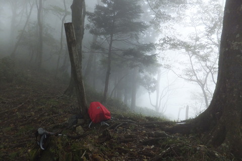 地蔵峠～下十枚山～十枚山