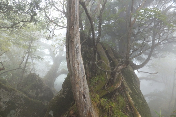 地蔵峠～下十枚山～十枚山