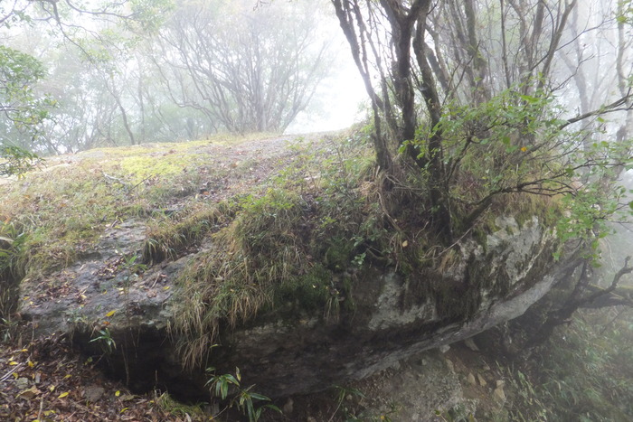 地蔵峠～下十枚山～十枚山