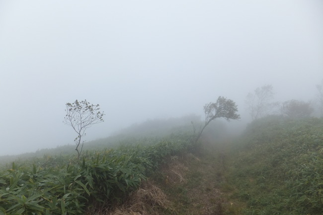 地蔵峠～下十枚山～十枚山
