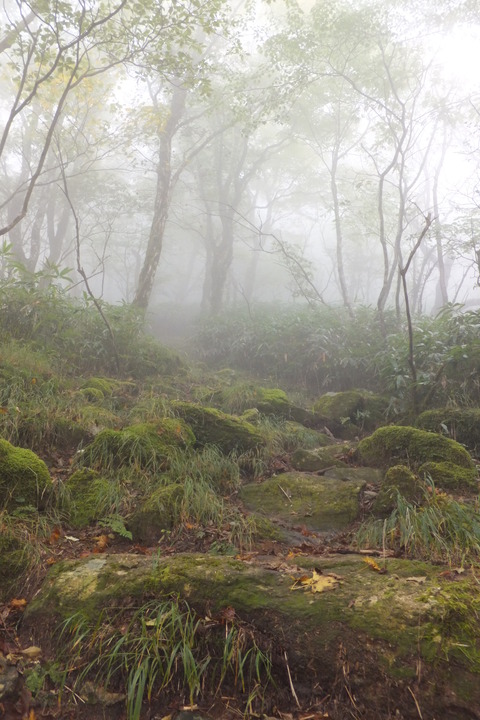地蔵峠～下十枚山～十枚山