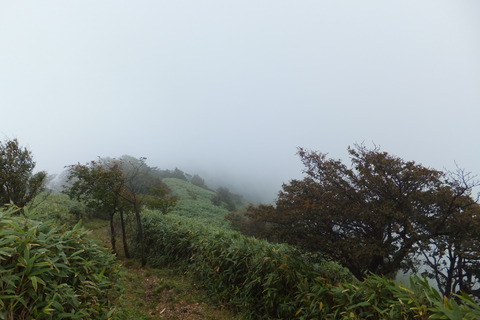 地蔵峠～下十枚山～十枚山