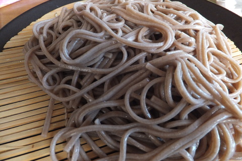 梅ヶ島温泉とイワシャジン