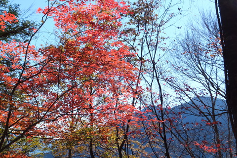 朝日岳