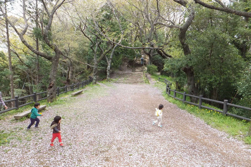 チビたちと一緒に賤機山