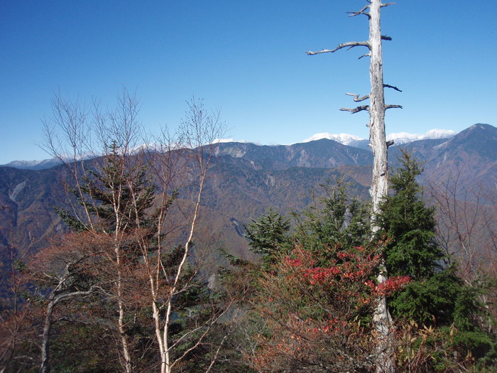 八紘嶺～大谷崩ノ頭（大谷嶺）