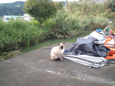 野守の池