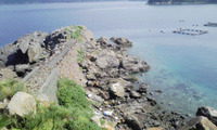 モイカ　＆　ススキ 2008/09/13 09:55:54