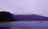 烏賊づくし晩餐 2009/11/24 22:59:54