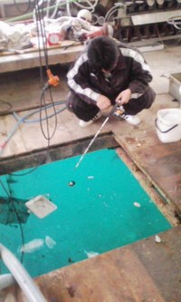 ボヤキ 2010/01/12 01:17:03