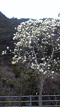 水曜日（定休日） 2010/03/02 13:06:26