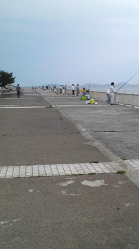 今治富 田新港 2009/06/13 06:47:11