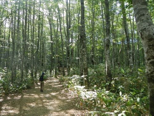 磐梯山親子登山 ♪