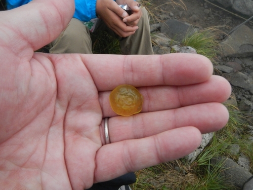 父子月山登山  【 ～登山編～ 】　