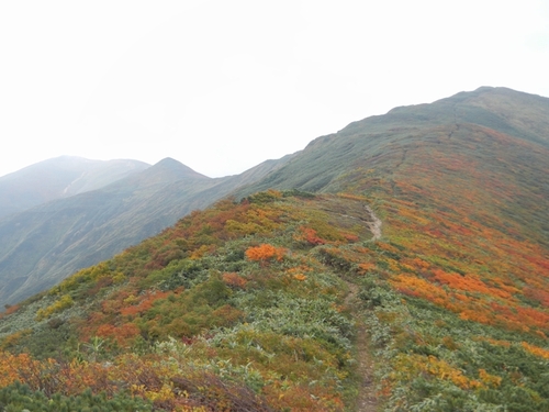 大朝日岳紅葉登山 ①