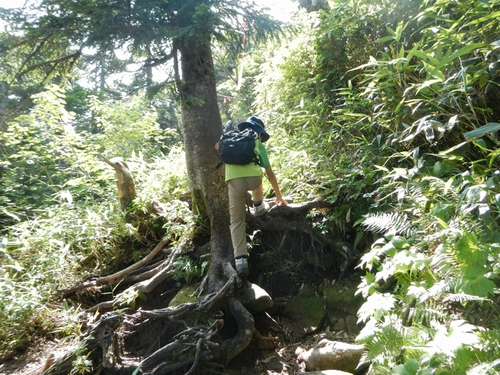 西吾妻山 親子登山