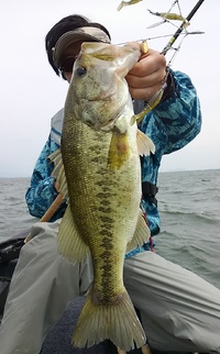激荒れの２０１６ＧＷ琵琶湖釣行 2016/05/05 14:51:49