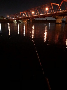 夜釣り。 2022/11/01 14:51:07