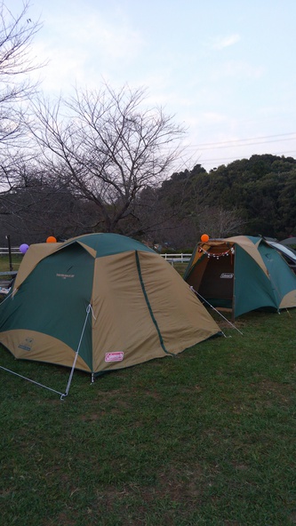 寒さに負けて11月のファミリーキャンプは風前の灯火？