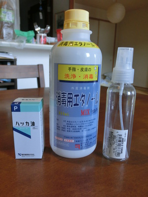 川遊び　準備編その３　アブ対策