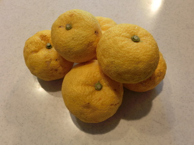 秋の味覚