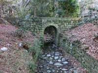 ドイツと日本の架け橋