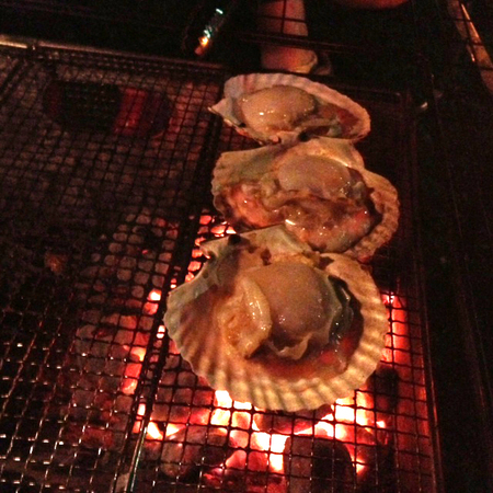 最近のキャンプ記録
