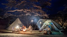 ファミリーオートキャンプ場そうり～桜満開！お花見キャンプ～2021.4.2-4.4②