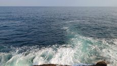 ゲキシブ！釣れる魚がいない、、、