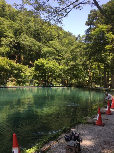 久々の醒井養鱒場