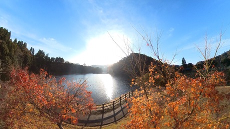 亀山湖で紅葉ツーリング♪