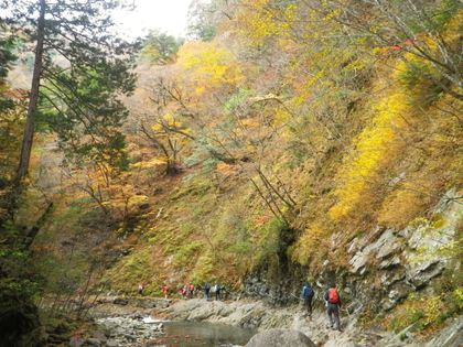 紅葉ハイキング♪