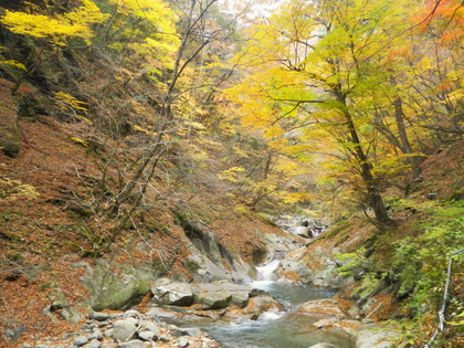 紅葉ハイキング♪