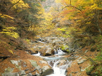 紅葉ハイキング♪