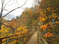 紅葉ハイキング♪