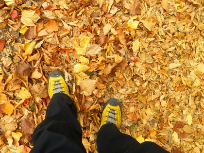紅葉ハイキング♪