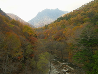 紅葉ハイキング♪