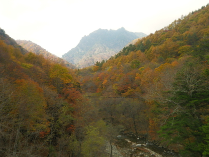 紅葉ハイキング♪