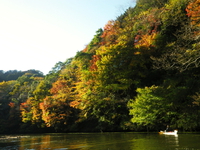 紅葉ツーリング 亀山湖♪