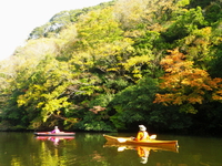 紅葉ツーリング 亀山湖♪