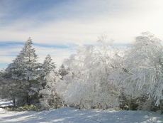 のんびり雪遊び　〜 前編 〜