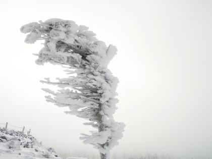 のんびり雪遊び　〜 後編 〜