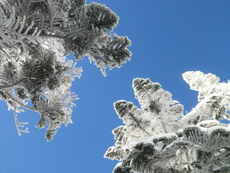 のんびり雪遊び　〜 後編 〜