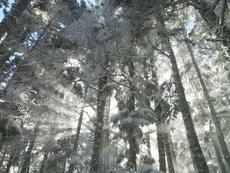 のんびり雪遊び　〜 後編 〜