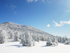 のんびり雪遊び　〜 後編 〜