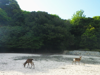 神々の住む島　〜 前編 〜