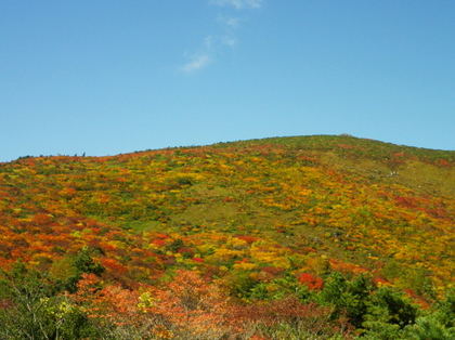 東北でまったり ♪  〜 後編 〜
